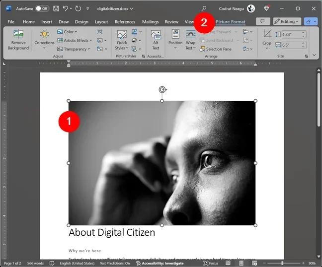 Can You Easily Layer Pictures Directly in Word Document
