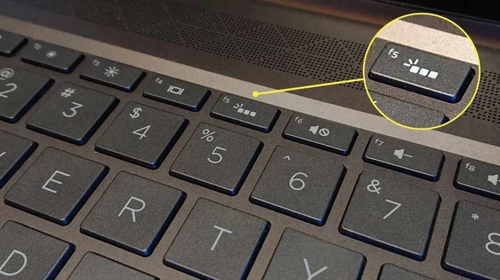 Can All Hp Laptop Keyboards Light Up On Every Model