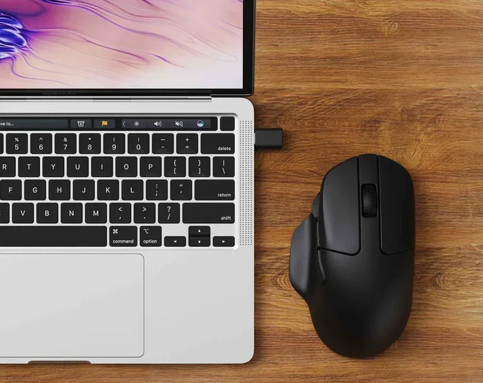 Can Any Mouse Be Used With A Laptop For Work And Play